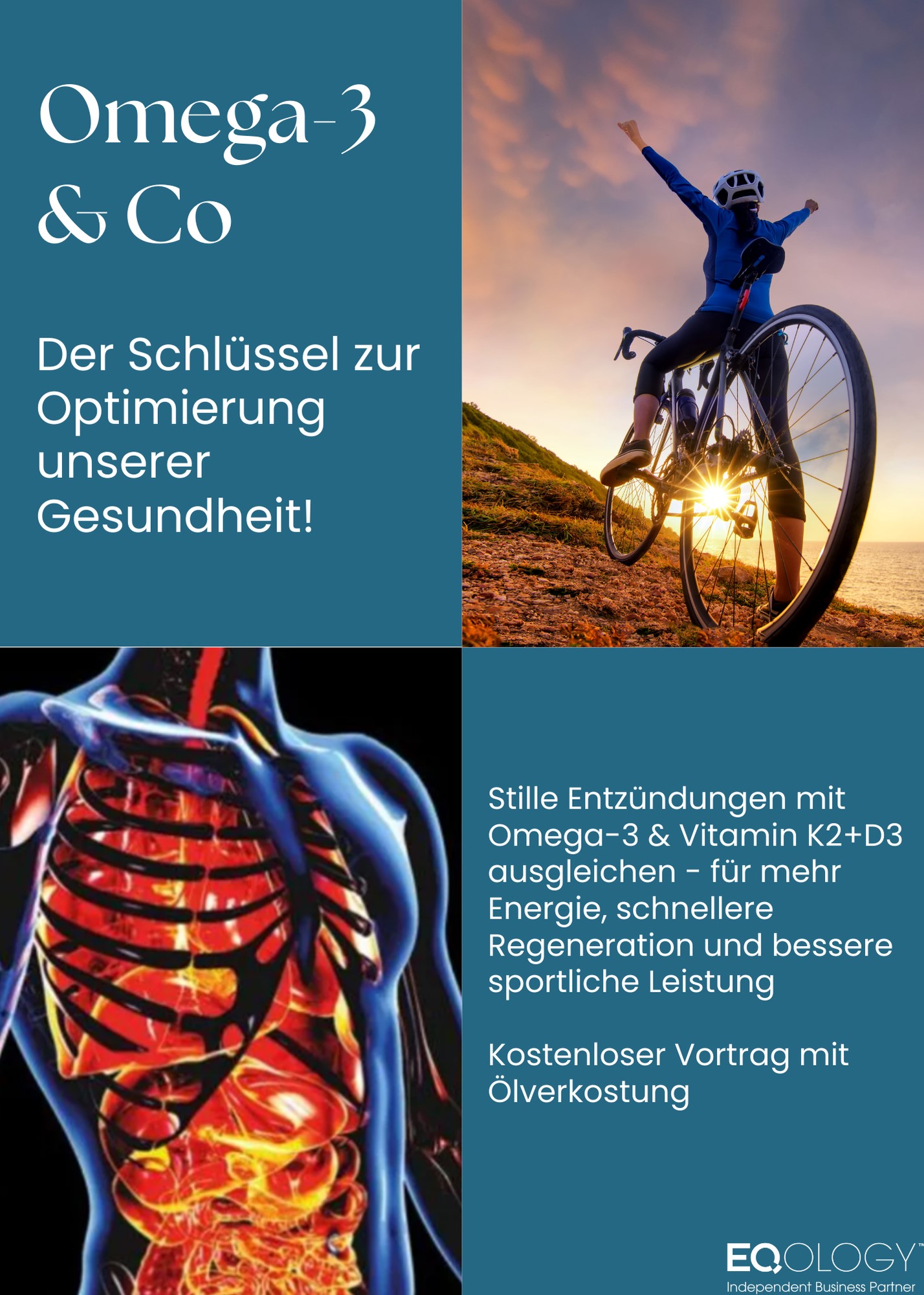 Omega 3 und Co. Der Schlüssel zur Optimierung unserer Gesundheit!