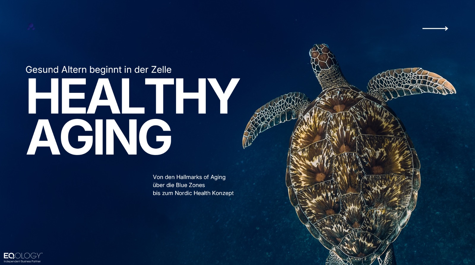 Healthy Aging - Gesund Altern beginnt in der Zelle